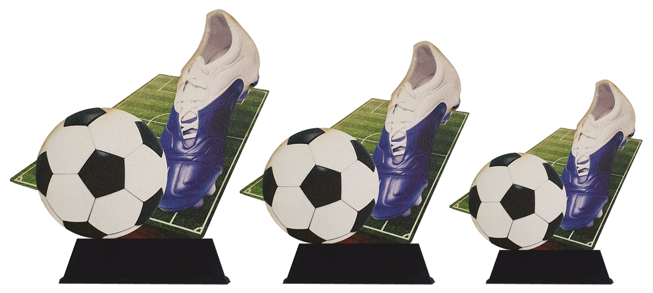 Voetbal WT0131 en WT0132